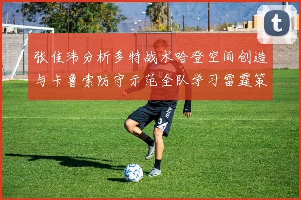张佳玮分析多特战术哈登空间创造与卡鲁索防守示范全队学习雷霆策略