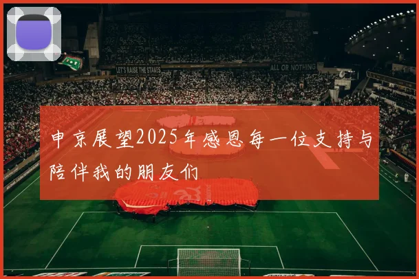 申京展望2025年感恩每一位支持与陪伴我的朋友们