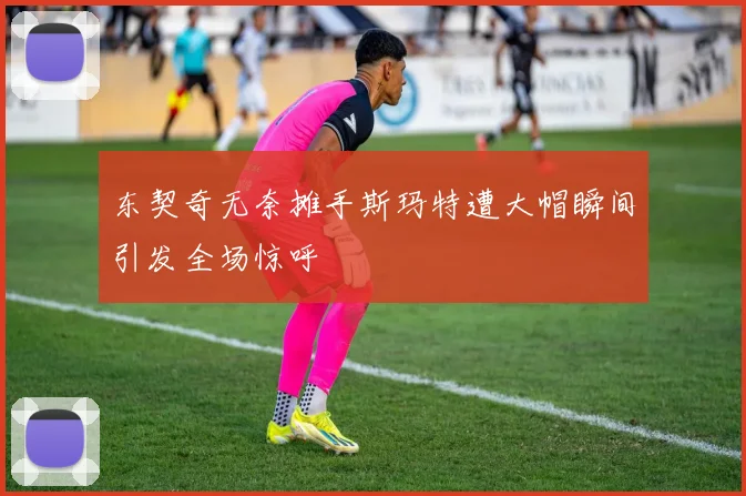 东契奇无奈摊手斯玛特遭大帽瞬间引发全场惊呼