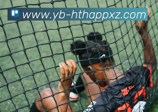 华体会体育APP 体育赛事宣传图